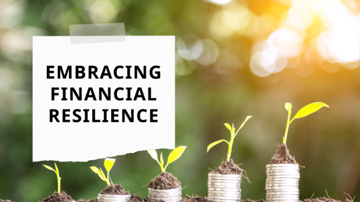 Strengthening Financial Resilience: Navigating Life's Uncertainties
