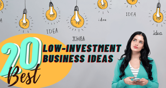 20 Best Low-Investment Business Ideas You Can Start Online (2022)