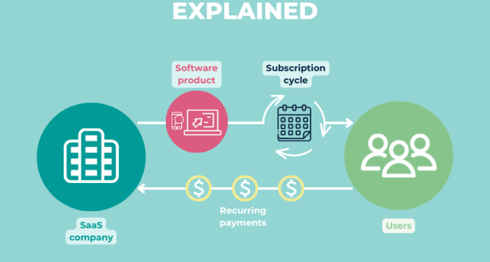 What is a SaaS business model and how does it work?
