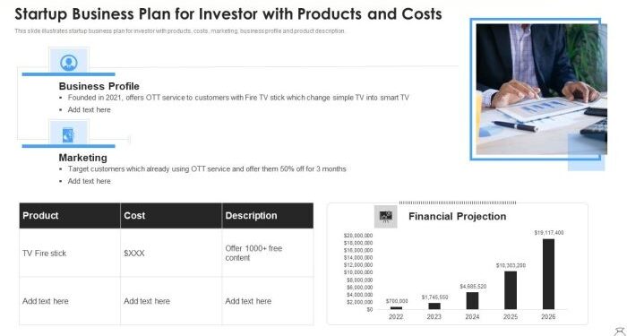 Startup Business Plan For Investor With Products And Costs Icons PDF