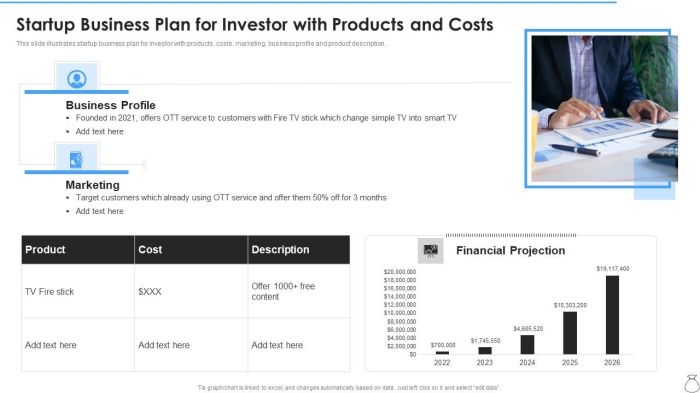 Startup Business Plan For Investor With Products And Costs Icons PDF