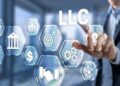 What are the Different Types of LLC? An Ultimate Guide - VAULT50