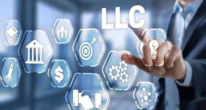 What are the Different Types of LLC? An Ultimate Guide - VAULT50