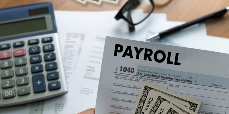 Employer Guide: 4 Things to Look for in a Payroll Company